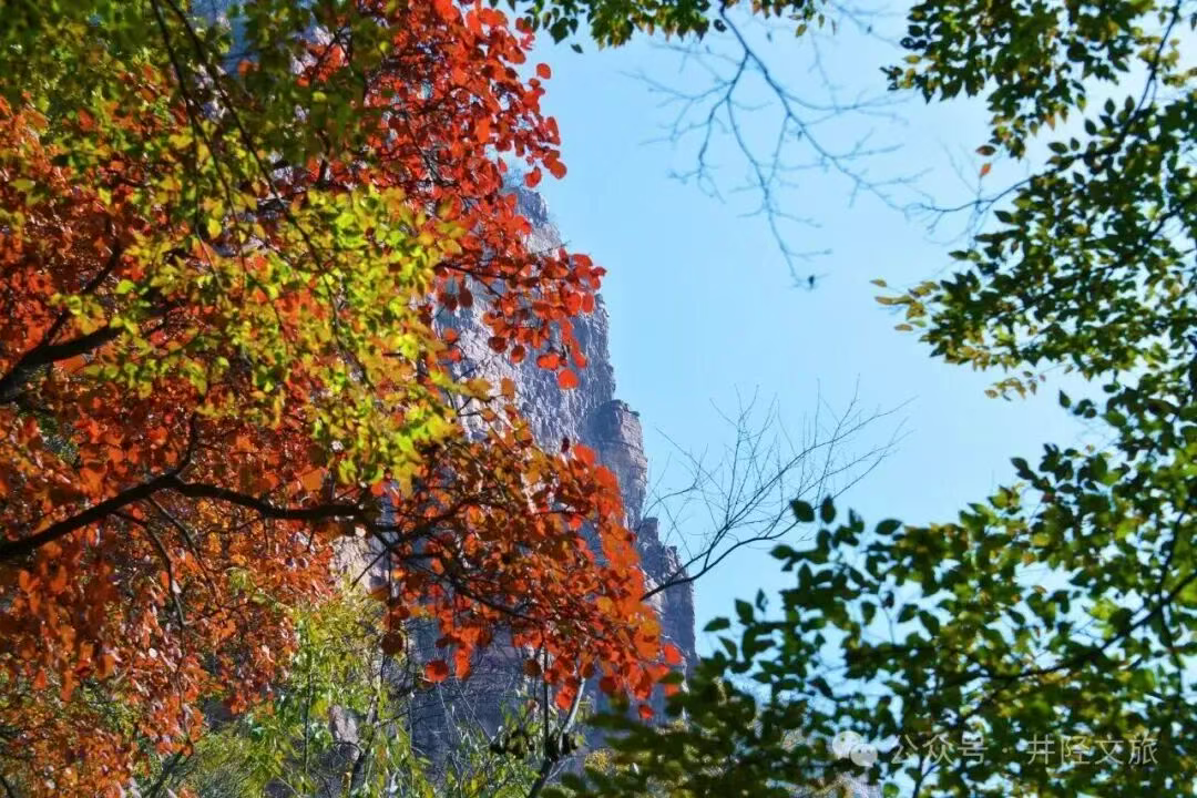 石家庄赏红叶景区推荐，随手一拍便是大片！