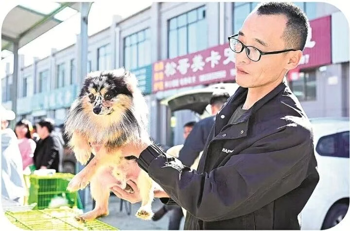 从“毛皮之乡”到“宠繁之乡” 秦皇岛昌黎打造宠物产业发展新赛道
