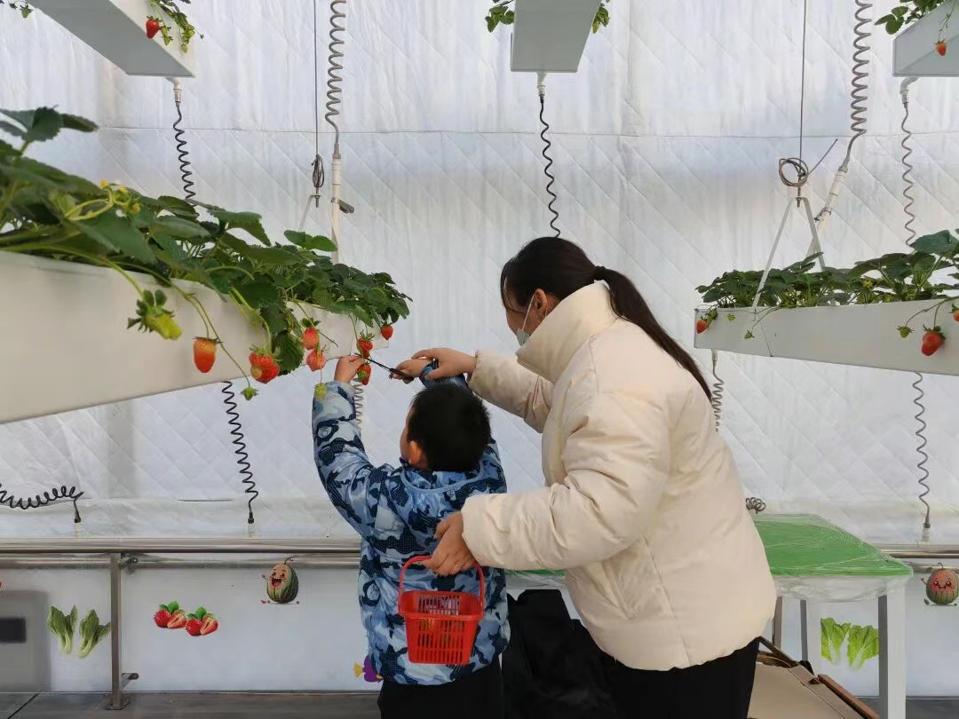 衡水3条线路入选省级 “冬农趣” 榜单！解锁冬日乡村游玩新攻略→