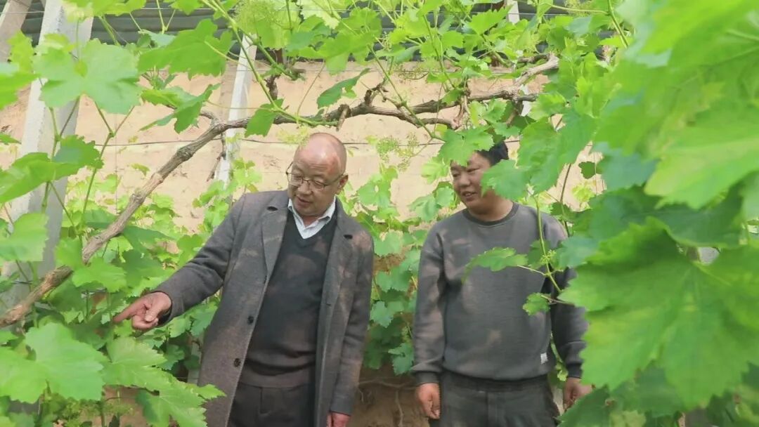 全国人大代表郑志辉：脚下沾满泥土 心中装满群众