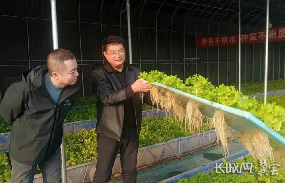 李瑶：让河北净菜全链条产业村内落地