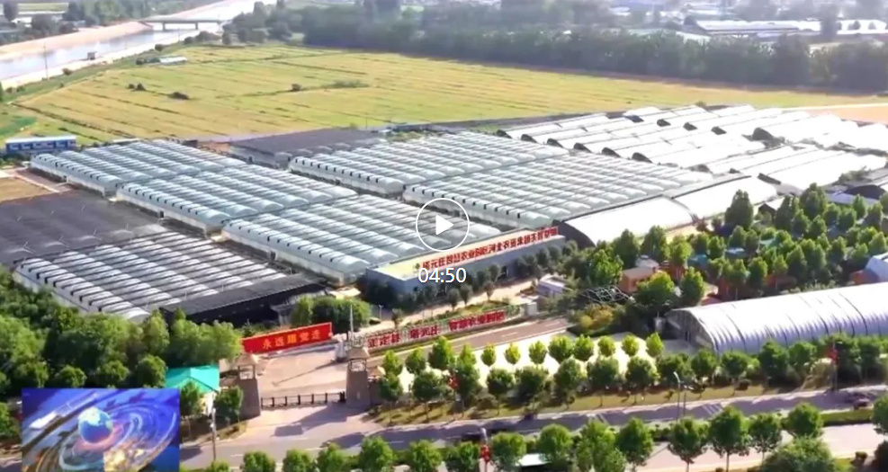 河北省石家庄市正定县：接续奋斗 谱写乡村振兴新篇章