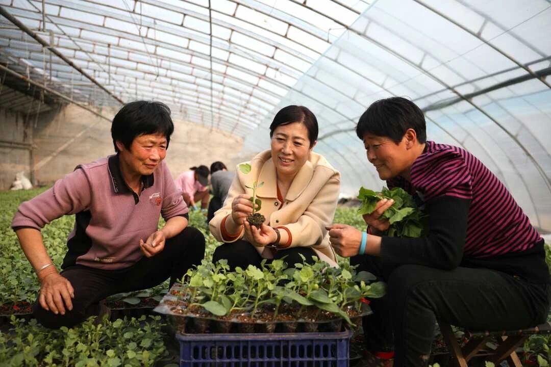 全国人大代表李素环：把助农事业做实做强做大做优