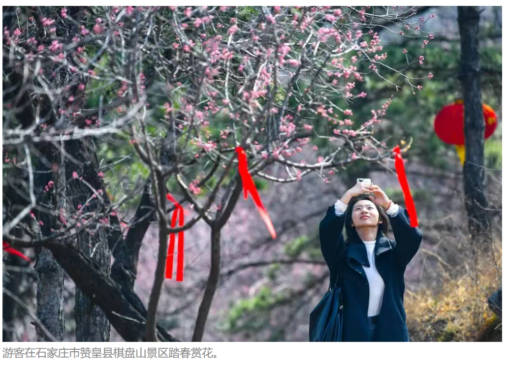 石家庄市赞皇县杏花季在棋盘山景区启动