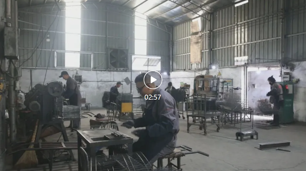 遵化：宠物笼具产业集群跑出发展加速度