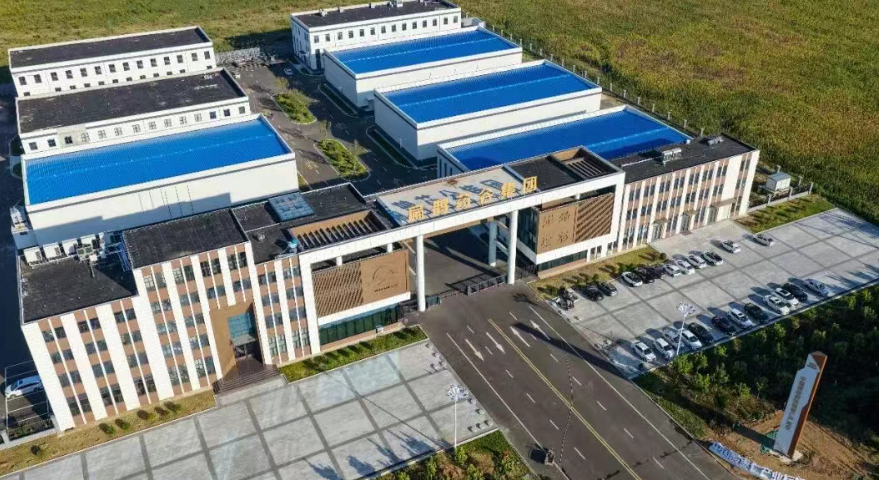 邢台以标准化引领酸枣产业高质量发展