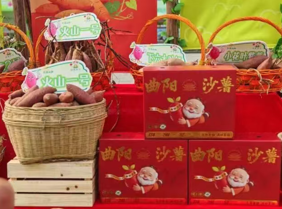 “媒体+”搭桥：河北曲阳携“薯千岁”再赴广东甘薯盛会